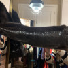 Blouson  Sprung Frères vison et python
