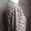 Top Leonard Fashion vintage
