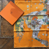 Carré Hermes Robe Legère