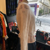 Pull mohair vintage rose dragée TS/M